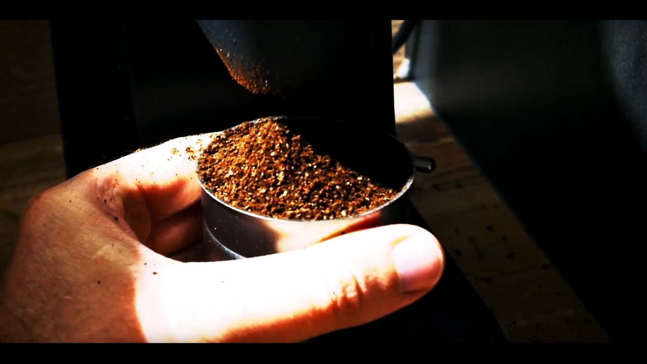 Candeur Sauvage - Horsewool