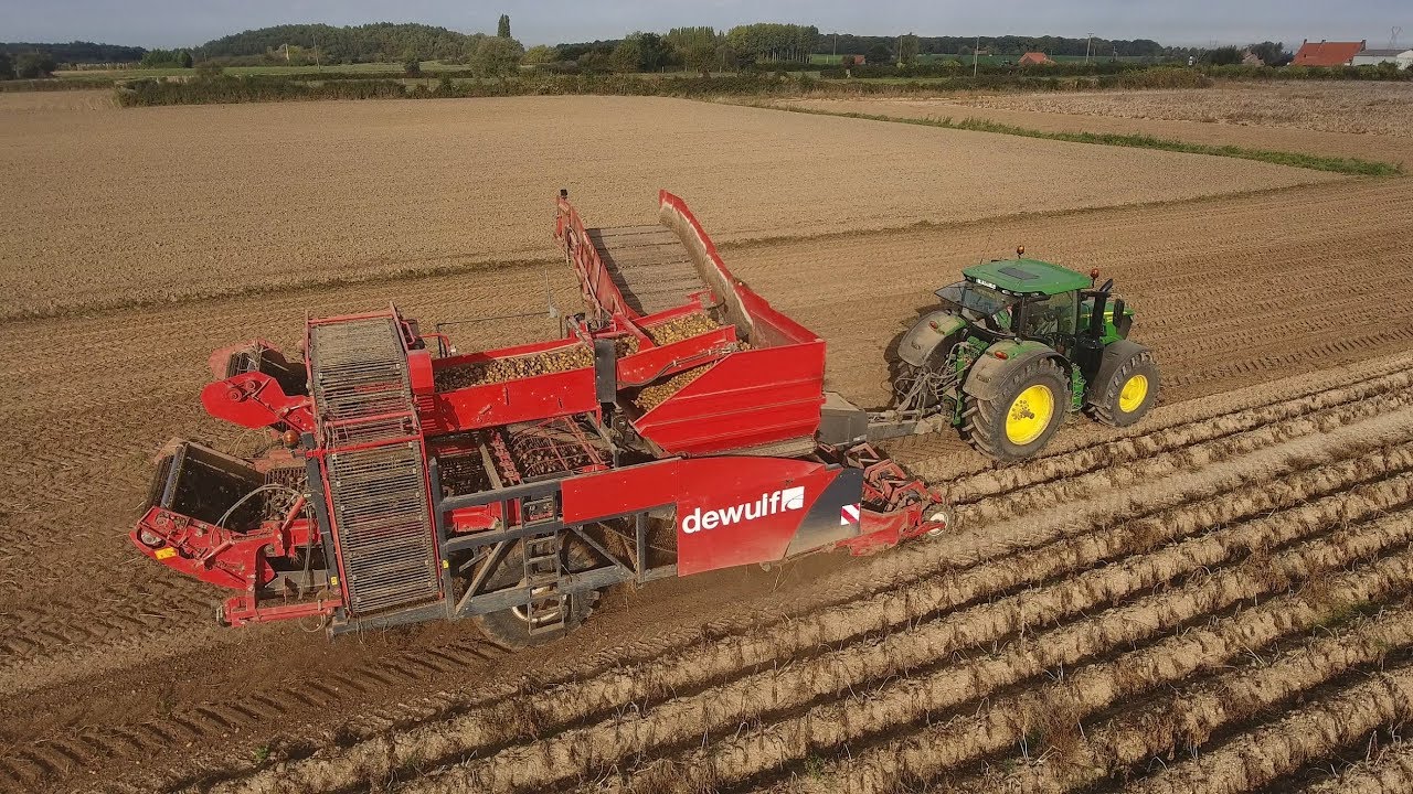 Dewulf RA 2060 + John Deere 6215R à l'arrachage de pommes de terre !