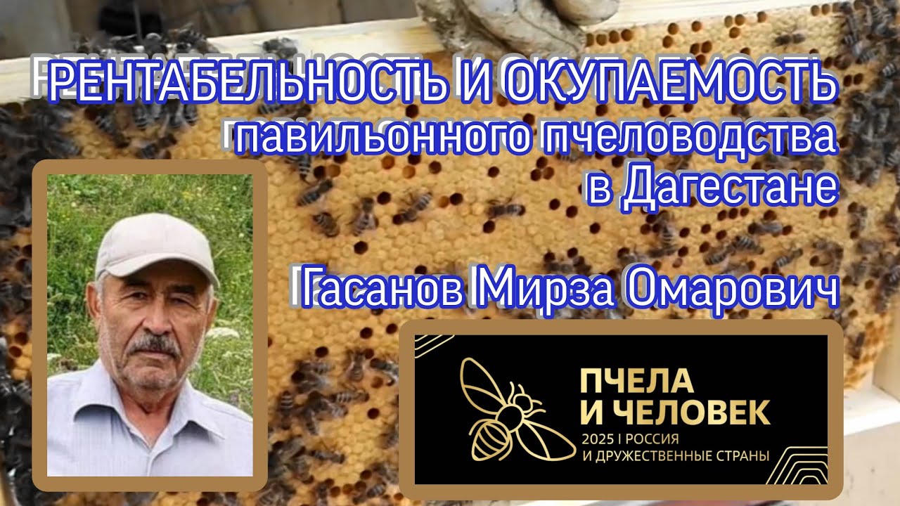 РЕНТАБЕЛЬНОСТЬ И ОКУПАЕМОСТЬ ПАВИЛЬОННОГО ПЧЕЛОВОДСТВА В УСЛОВИЯХ ДАГЕСТАНАГасанов Мирза Омарович