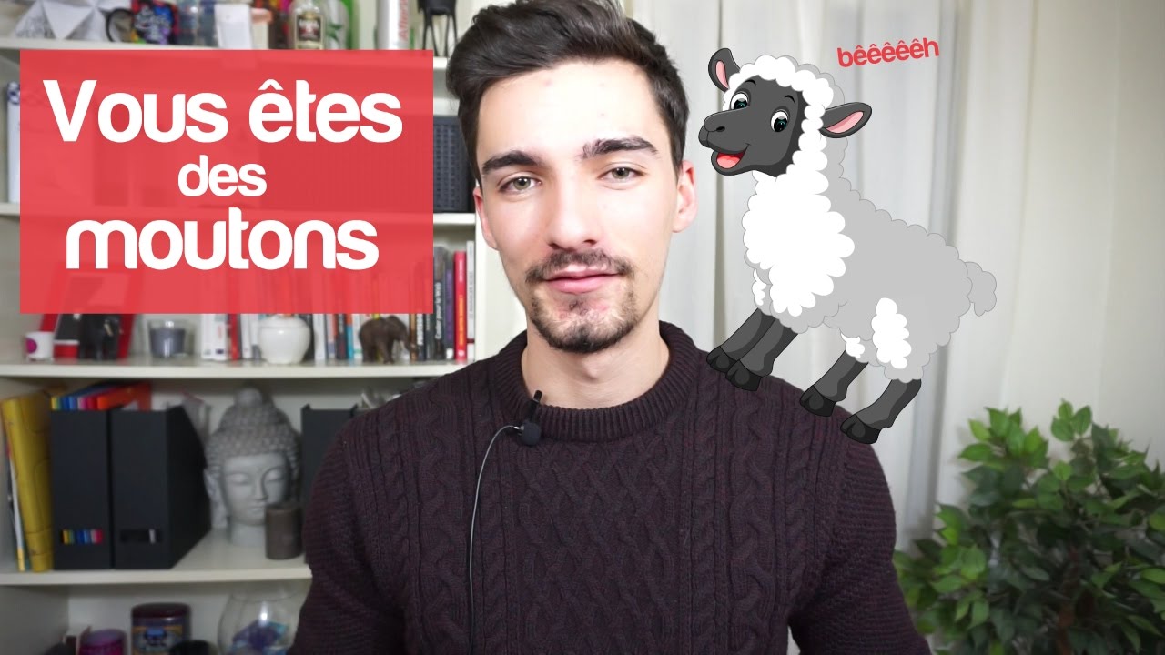 POURQUOI AGISSONS-NOUS COMME DES MOUTONS ? La preuve sociale
