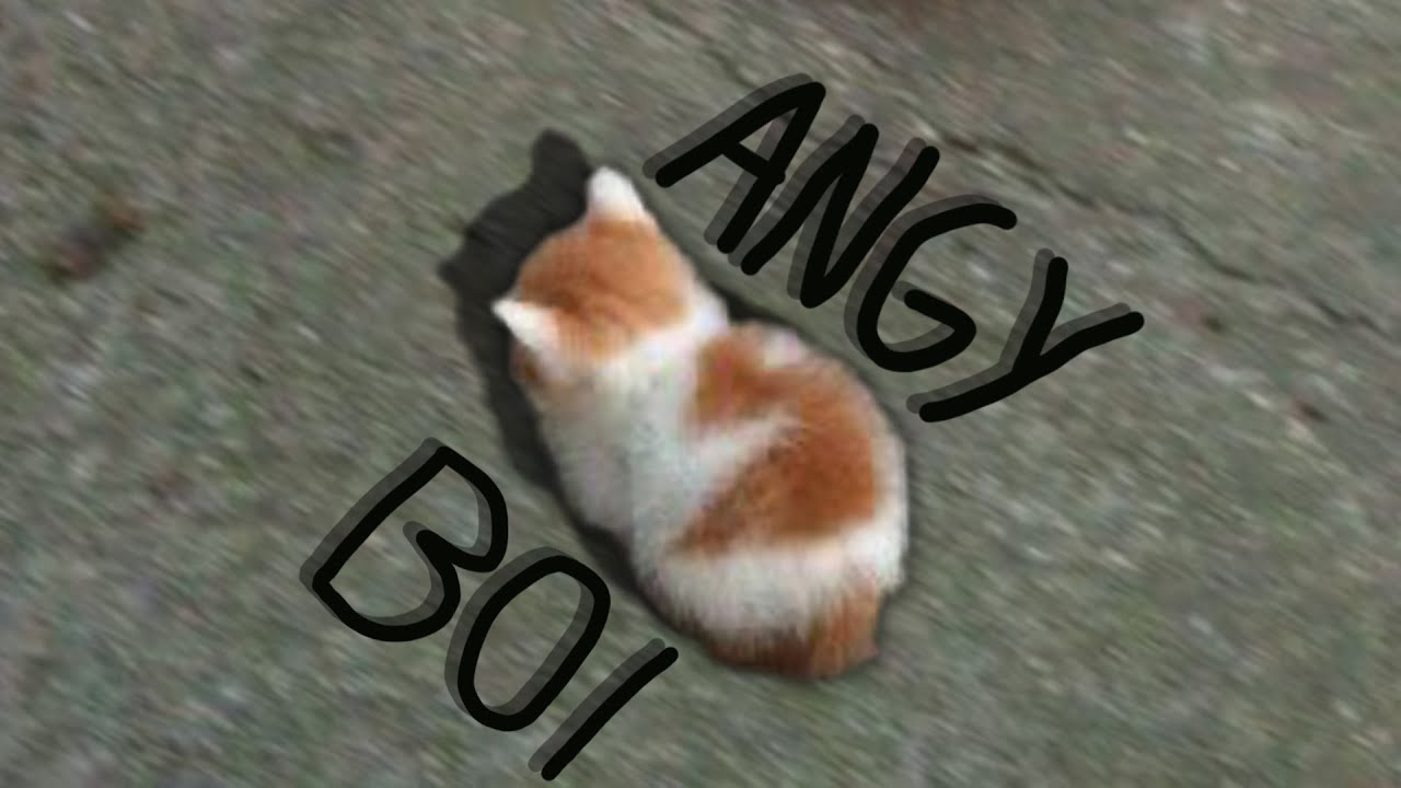 uamee - ANGY BOI HARDBASS ANTHEM