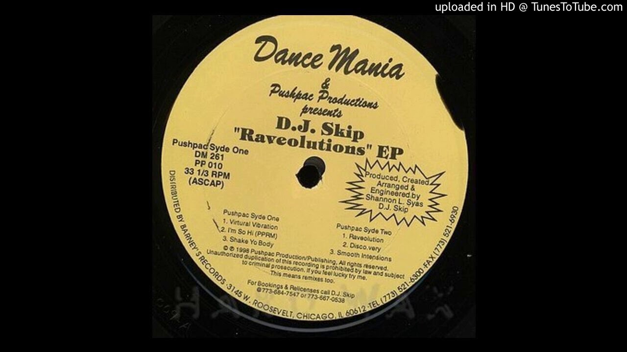 DJ Skip - Virtural Vibration