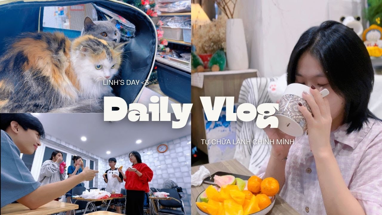 LIVING ALONE DIARIES | Last week of the year - A busy week