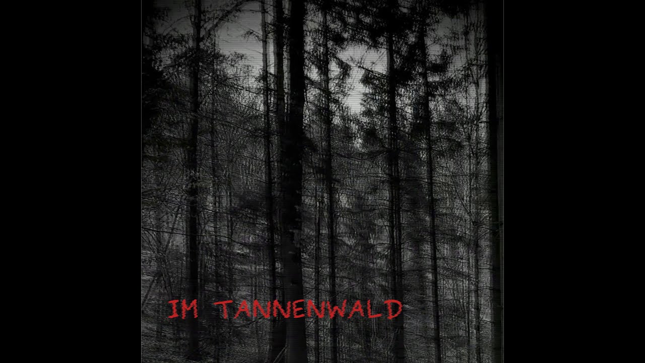 Im Tannenwald