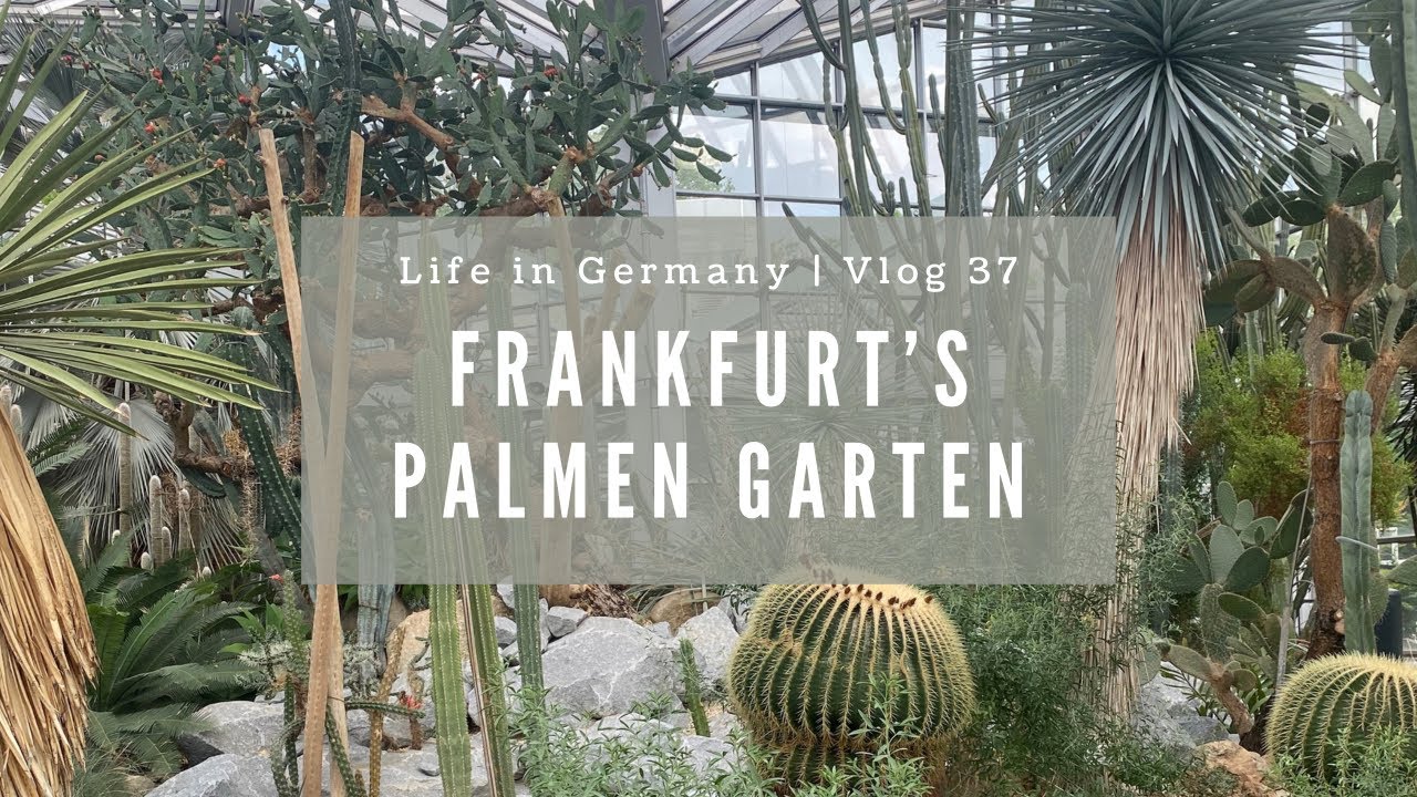 VLOG 37 | Beautiful, relaxing botanical gardens in DOWNTOWN Frankfurt | Palmen Garten