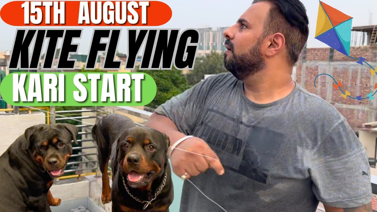 Rottweilers Bubzee Se Hai Rahul Bohot Gussa: Kite Fying Ki Tayari Shuru |15th August Kite Flying Day