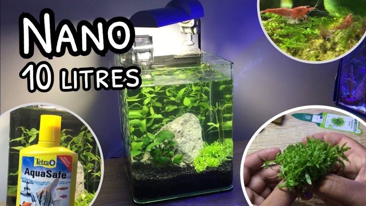 Nano aquarium 10 Litres