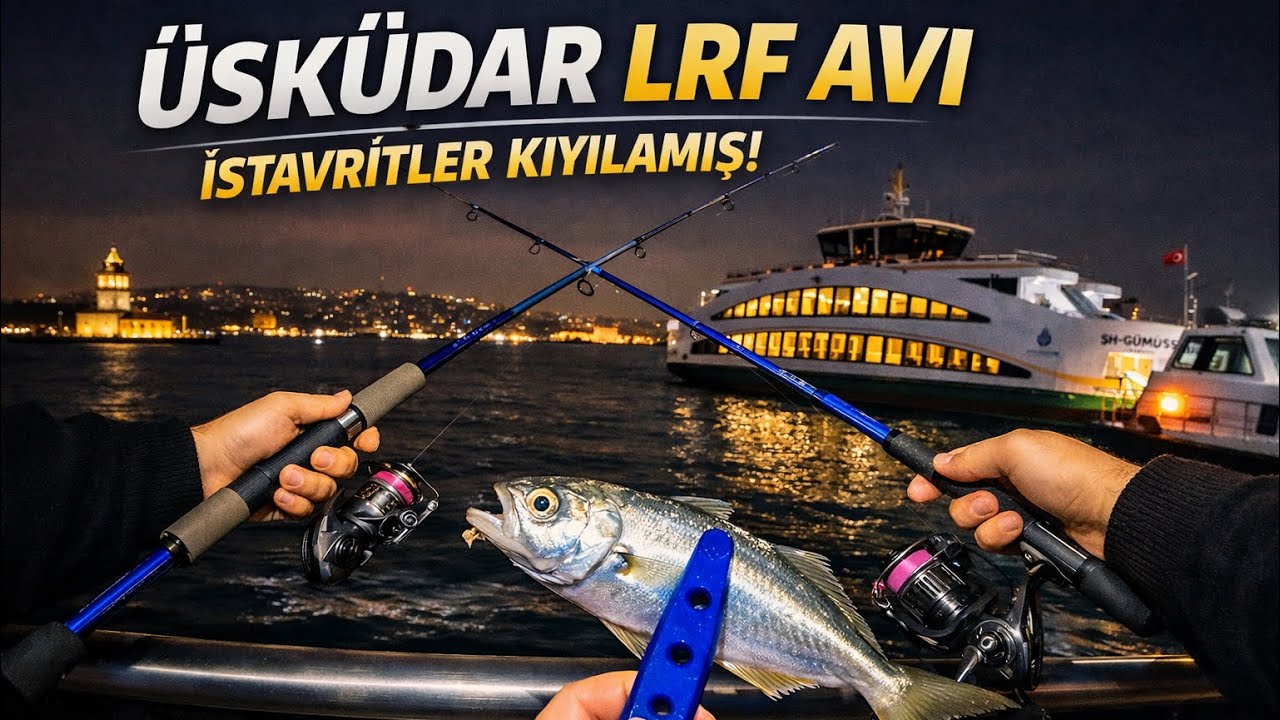 İstanbul LRF ile istavrit avı|Üsküdar güzel balık yaptı |LRF AVI NASIL YAPILIR|ÇİNEKOP VE İSTAVRİT