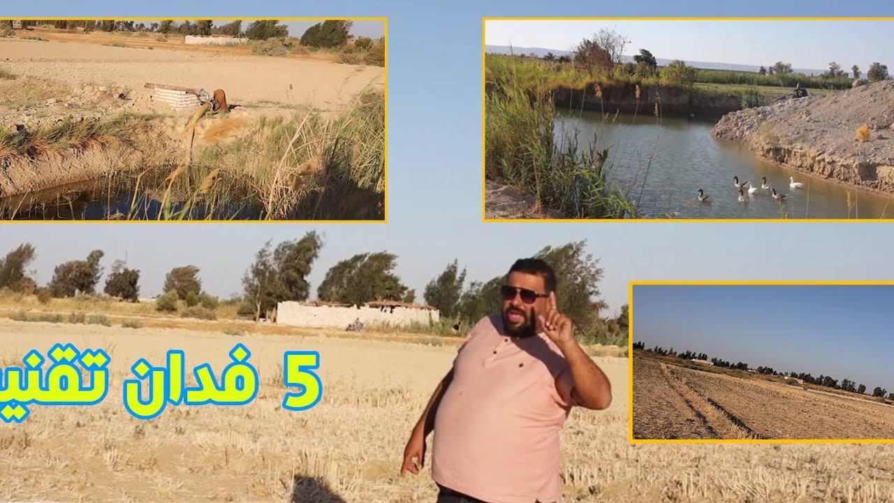 ٥ فدان استثمار خالص بجوار الكهرباء والقريه وب ٢٠٠ الف فقط عرض حصري بالفرافره 