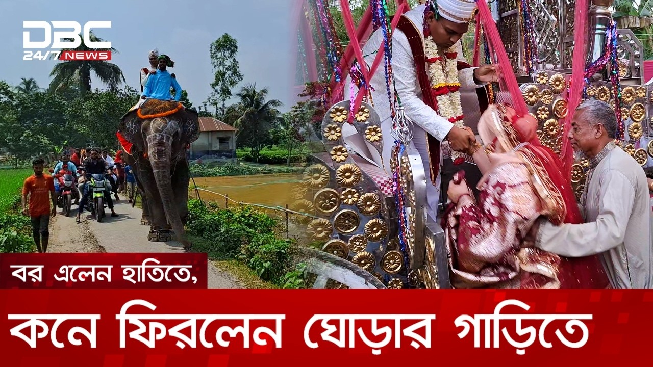 শ্বশুরের শখ পূরণে হাতির পিঠে বর, ঘোড়ার গাড়িতে কনে | DBC NEWS Special
