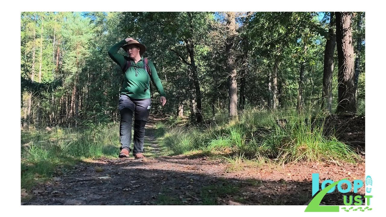 2025, Wandelvideo #10 Lange route ingang Schaarsbergen. - Hoge Veluwe -