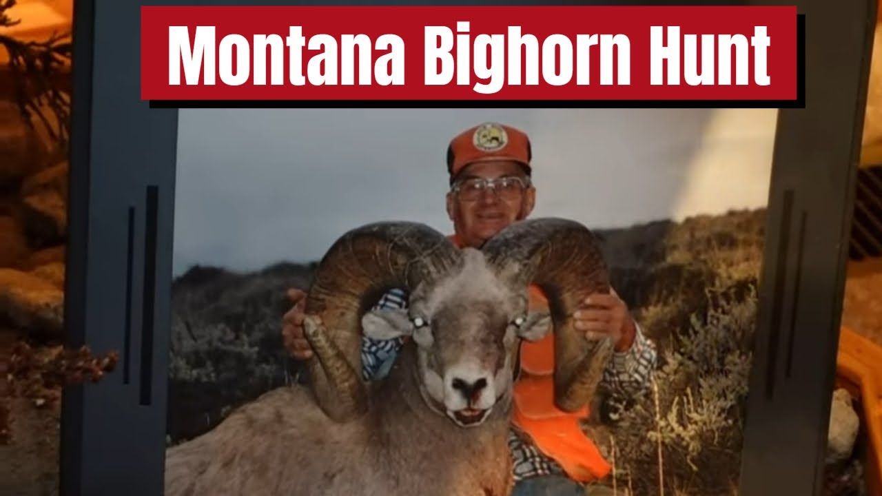 MONTANA BIGHORN! Governor's Tag Hunt