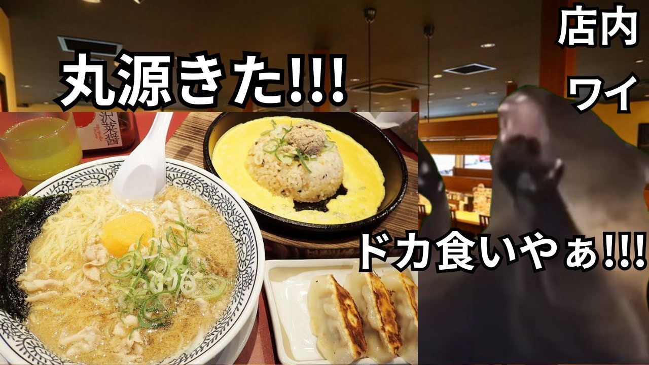 【猫ミーム】丸源で3年分の炭水化物をドカ食いした話＃猫マニ＃猫ミーム