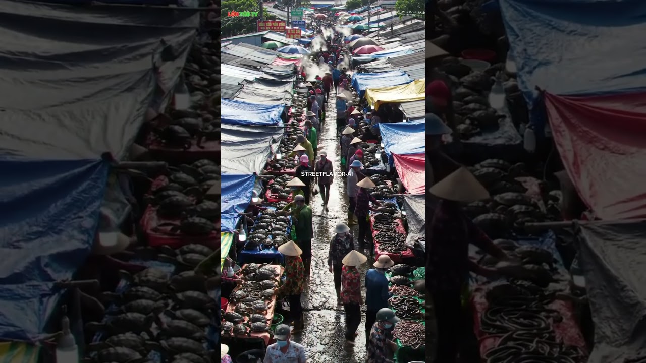 Wild Meat Market Chaos – Inside Asia’s Exotic Animal Trade@streetflavor-ai