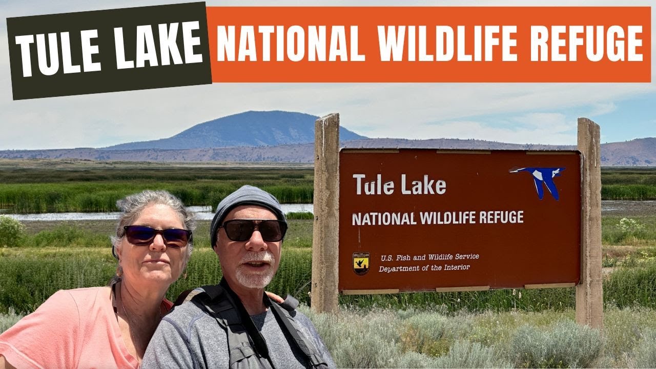 Tule Lake National Wildlife Refuge - Birding Paradise in Northern California