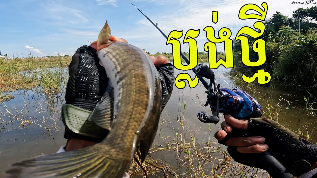 Cambodia Love Fishing | ប្លង់ថ្មីខាំច្រើនវត្តខន្តីជើងនេះកើបហើយ