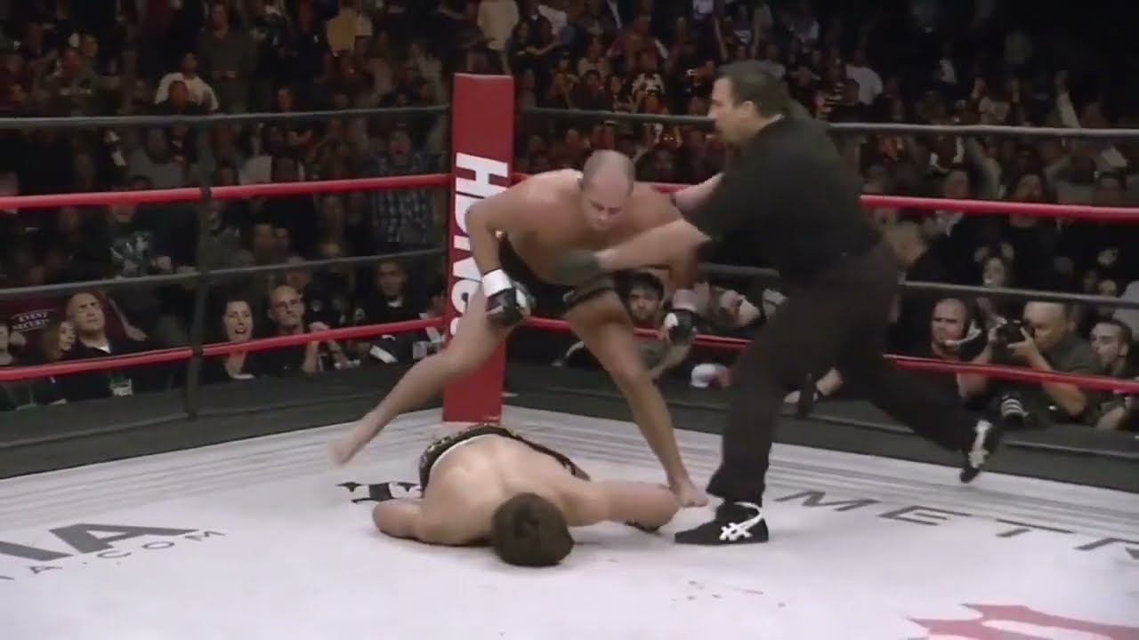 💥Fedor Emelianenko KOs/TKOs
