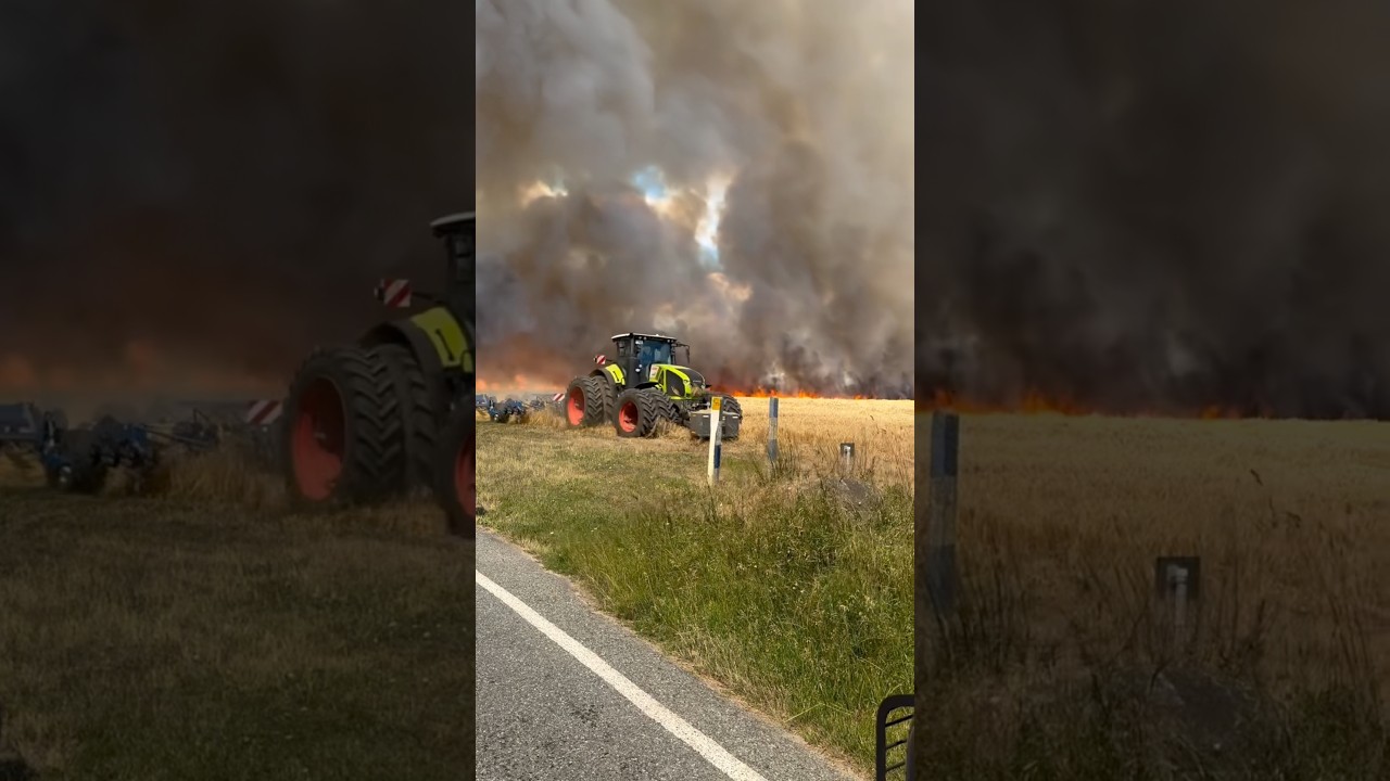 Гонка со временем: спасаем урожай от пожара! 🚜🔥 #жизньнаферме #сельскоехозяйство #фермерство #пожар