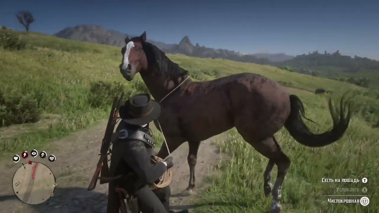 Red Dead Redemption 2 Ч-47