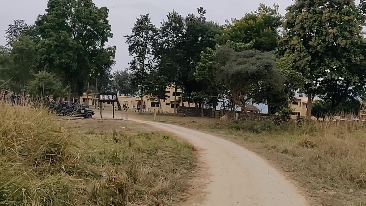 Dhikala Forest Rest House | Dhikala Forest Lodge | Dhikala Safari Booking | Jim Corbett Booking