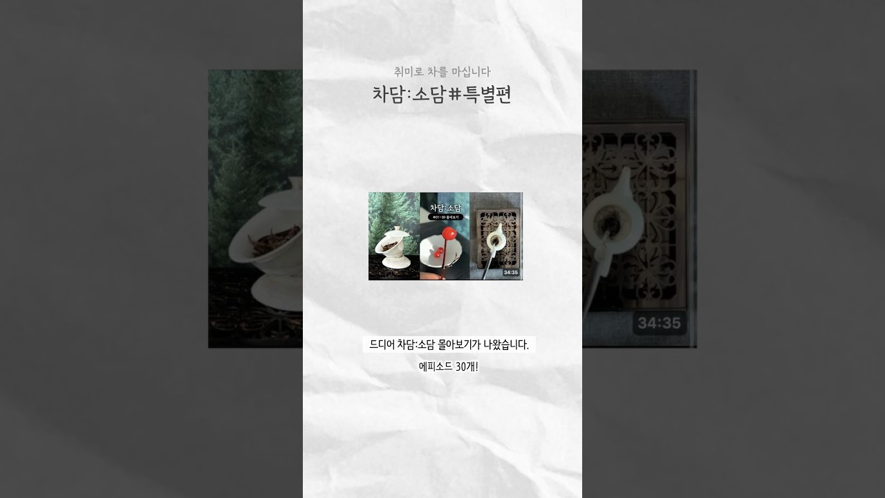 [차담:소담] 몰아보기 특별편! 입문자 티 추천 요약본!