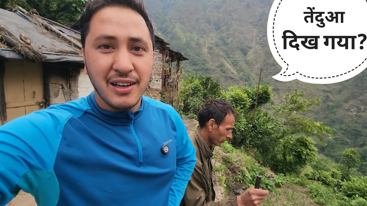 तरसाली वाले घर के नीचे आज फिर बाघ दिख गया || Pahadi Lifestyle Vlog || Cool Pahadi