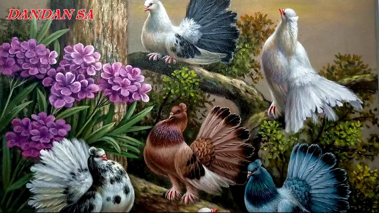 CARA MENGGAMBAR - MELUKIS BURUNG MERPATI DETAIL / HOW TO DRAW DETAIL DOVES By DANDAN SA, Tutorial 49