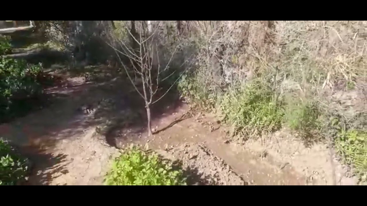 جولة في حديقتي متواضعة