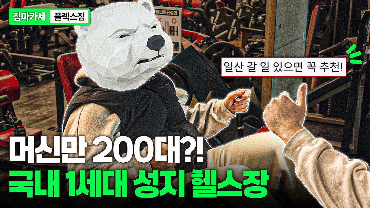 머신만 200대 ㄷㄷ 운동 많이 되는 국내 1티어 헬스장 리뷰 
