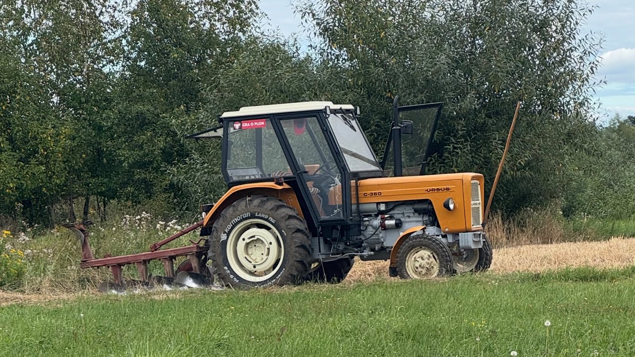 Akuratna, rybicka podorywka na ziemi która lekką nie jest