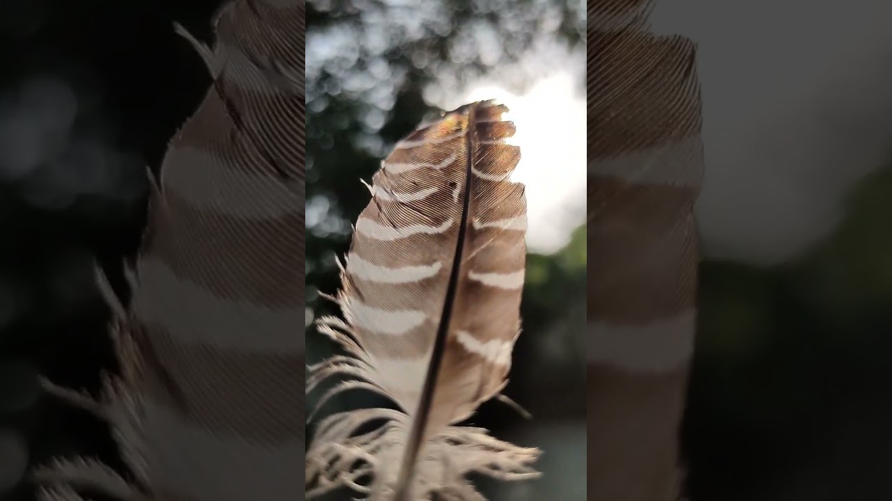 لماذا يظهر البخلاء في حياتي ؟ هل انت بخيل على نفسك ؟ أهم خطوات التغيير ..