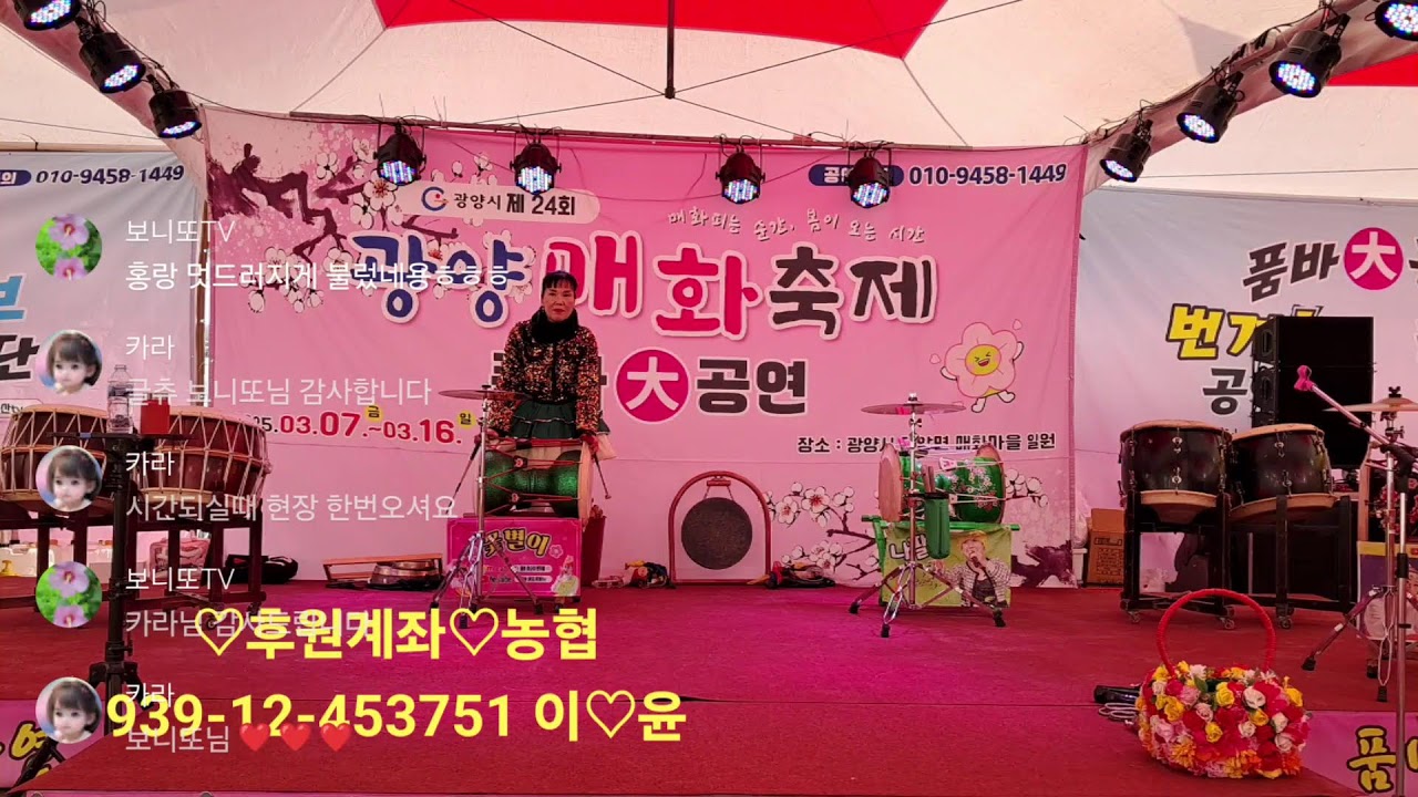 광양 매화축제 (3월7일)