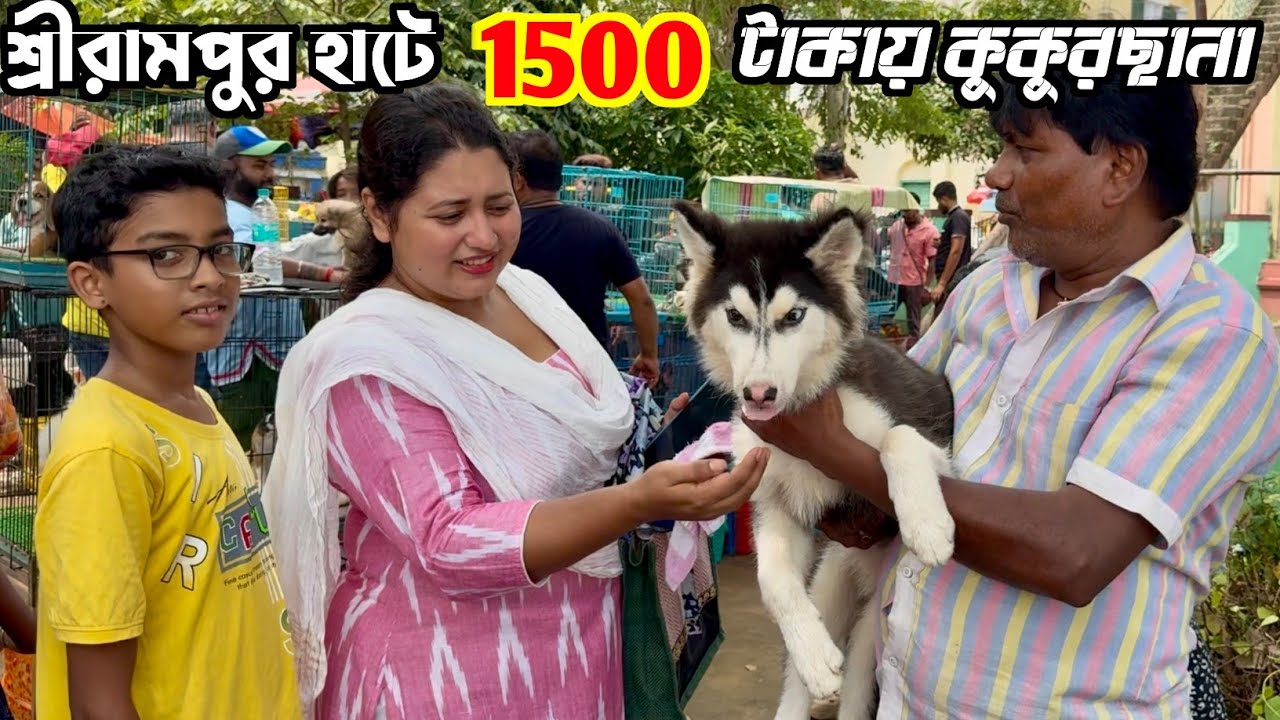 শ্রীরামপুর হাটে 1500 টাকায় কুকুরছানা! Dog Market in Kolkata Price. Kolkata Dog Market.