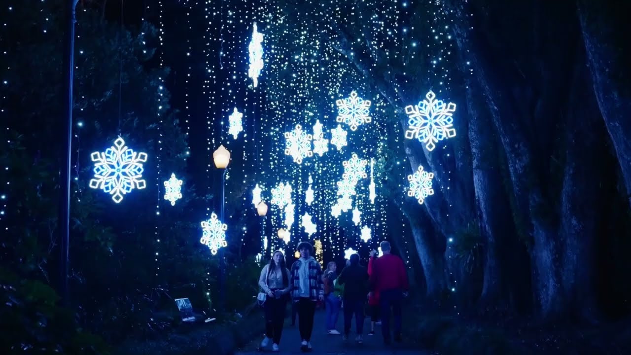 Dazzling Nights Orlando 2022