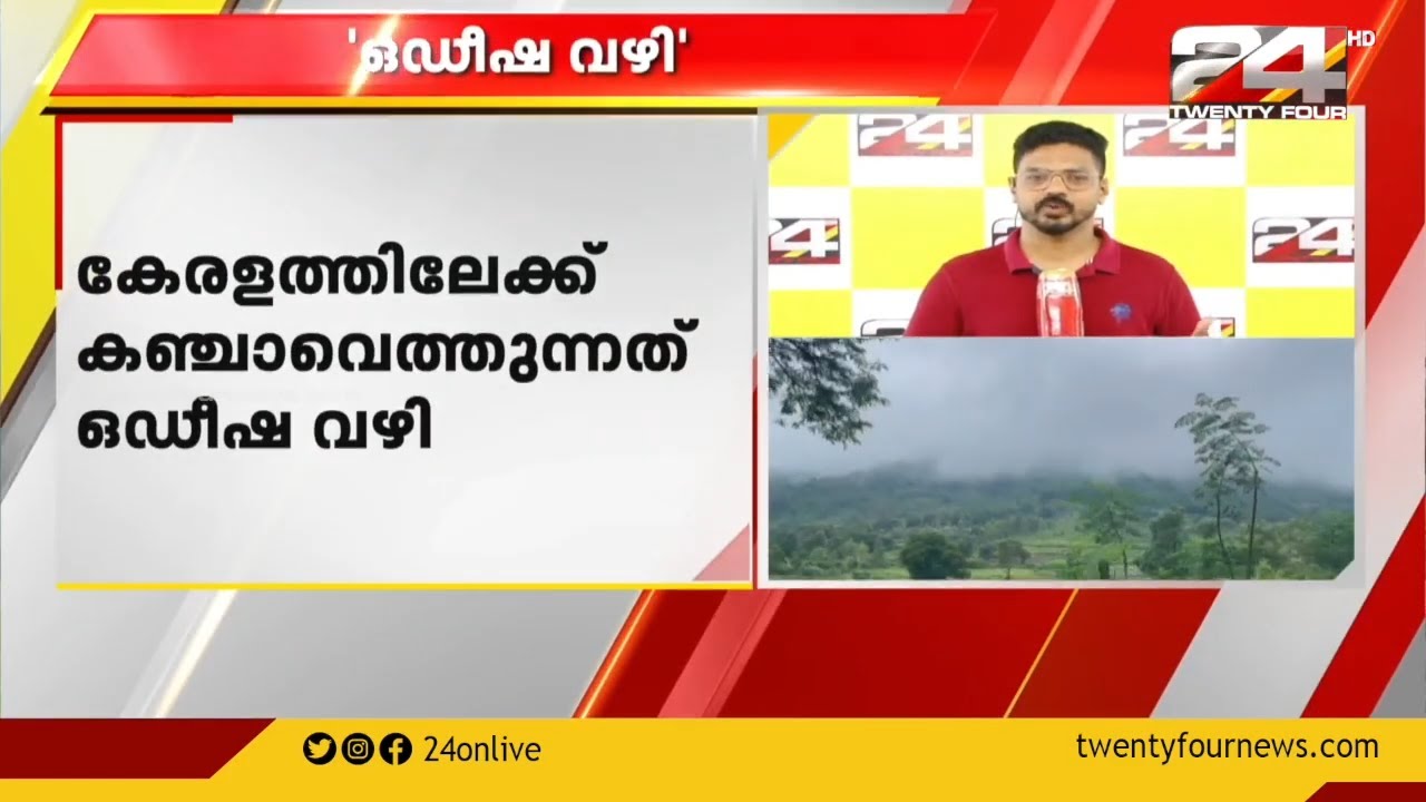 കേരളത്തിലേക്ക് കഞ്ചാവെത്തുന്നത് ഒഡീഷ വഴി  |'കഞ്ചാവിന്റെ കടത്തു വഴികൾ'