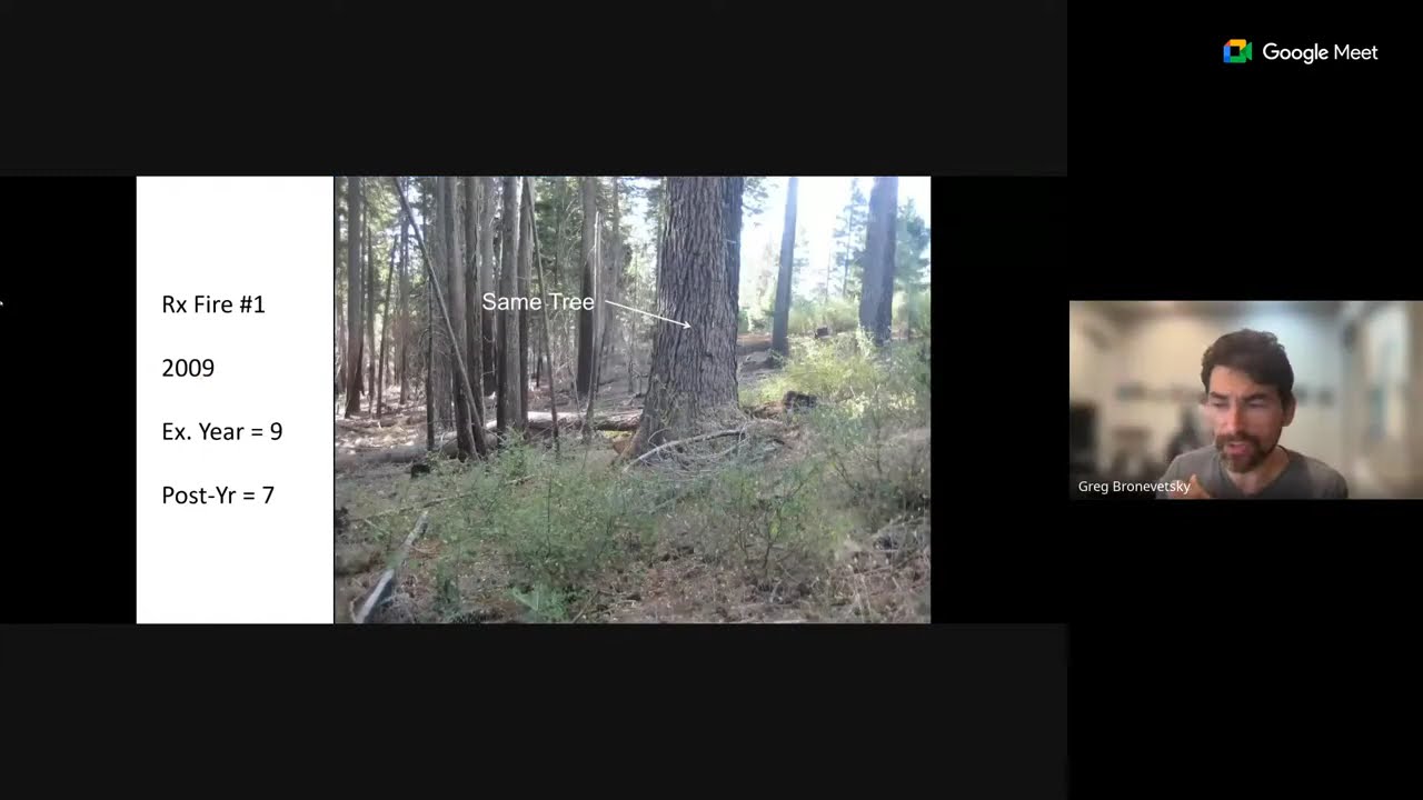 Gaining insights from forest inventories: Bringing data science revolution to place-based research