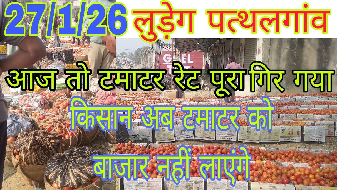 आज का रेट सुन के किसान उदास हो गए #Ab tamater ka ret nahi badhega #Rajeshbhatt vlogs 