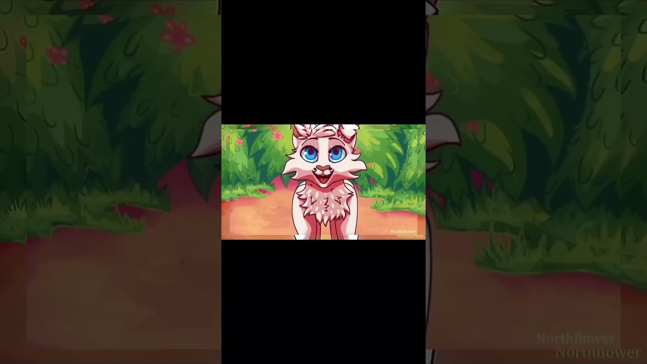 Snowkit edit #wcueedit #cat #wcue #edit #warriorcats #warriors #snowkit