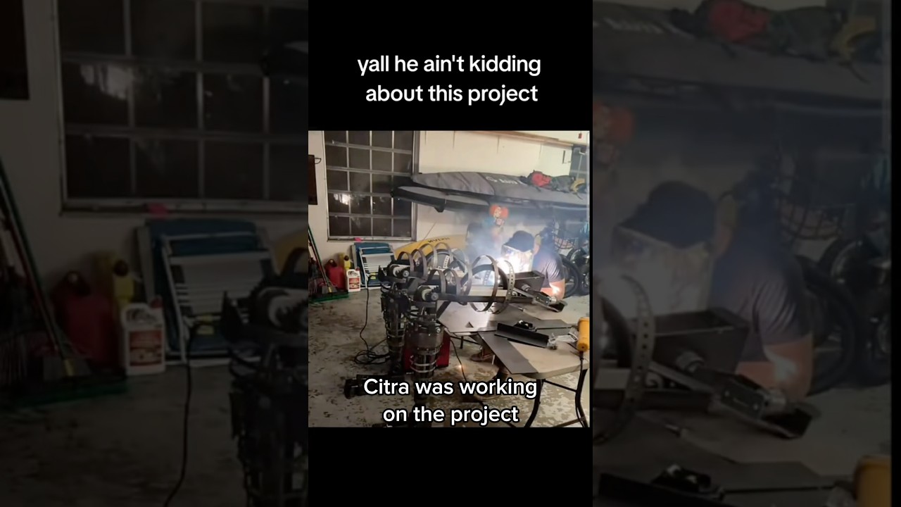 Progress report 87: Nosey is Missing 