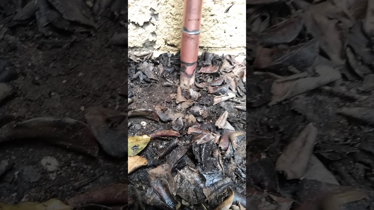 House shut off valve replacement