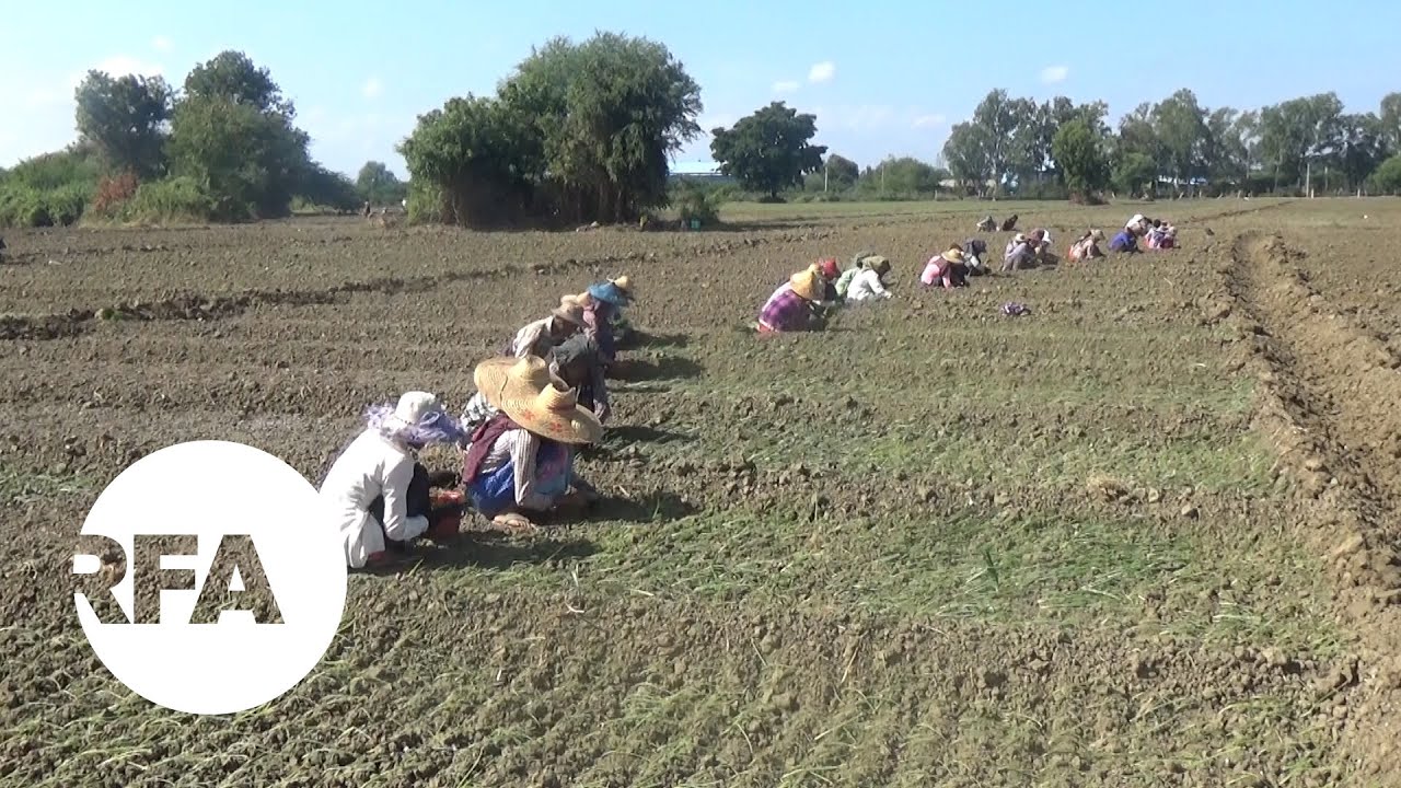 Villagers Rue Land Loss and Pollution From Copper Mine in Myanmar