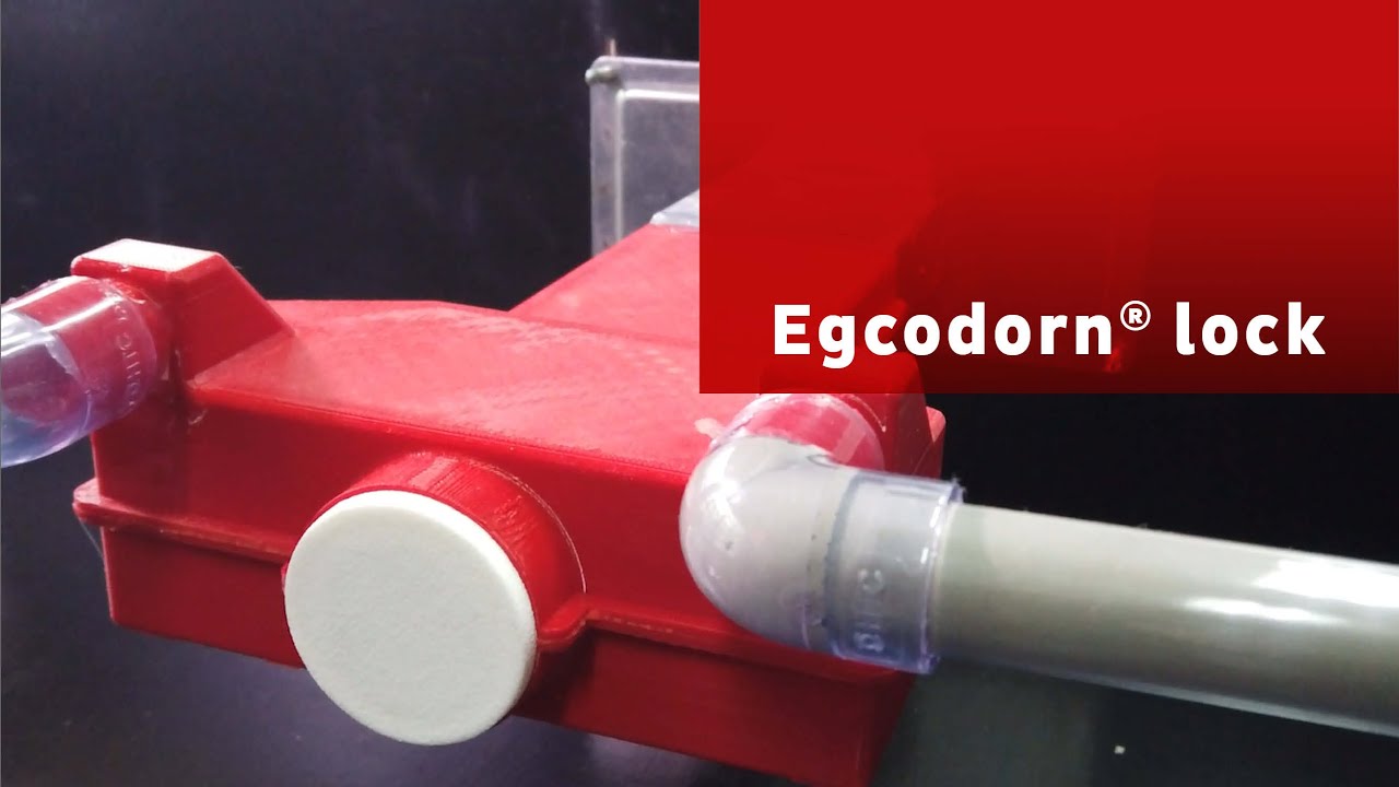 Egcodorn® Lock – The Smart Solution for Temporary Movement Joints