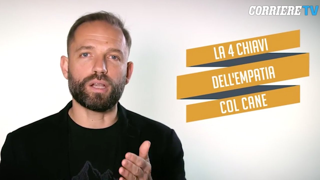 Come si può creare empatia con il cane? Le quattro chiavi per riuscirci