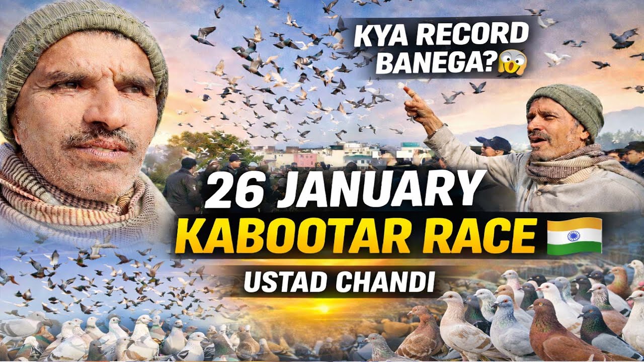 Kya Band Hawa Me Udega Kabutar? 26 January 2026 Ka Shok, Ustad Chandi Ka Shok