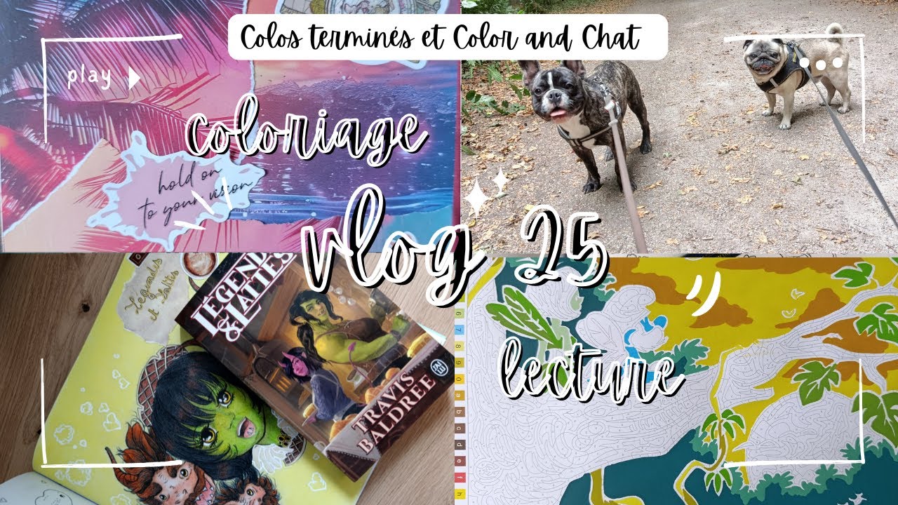Vlog 25: On papote en coloriant dans le livre Inspiration Disney
