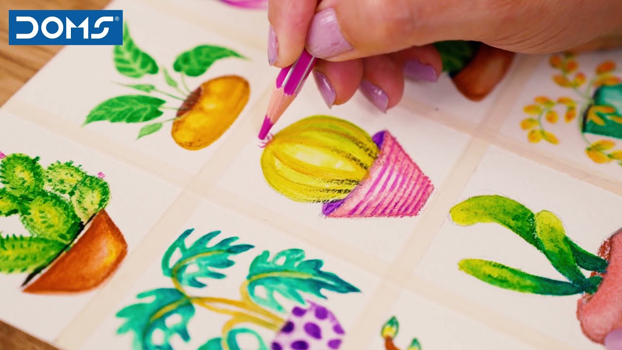 DOMS | WATER COLOUR PENCILS | Enrich your Creativity!
