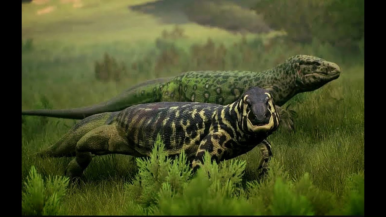 Hunting as the TERRIFYING Giant Lizards: MEGALANIA | Path of Titans PVP