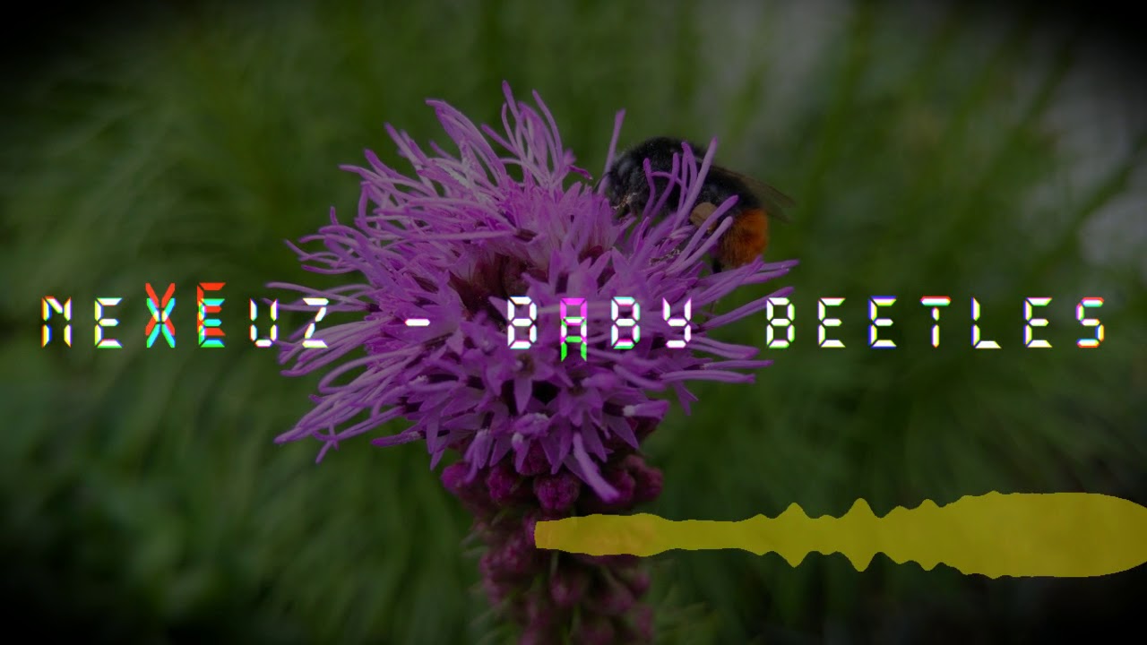 Nexeuz - Baby Beetles [HARDCORE]