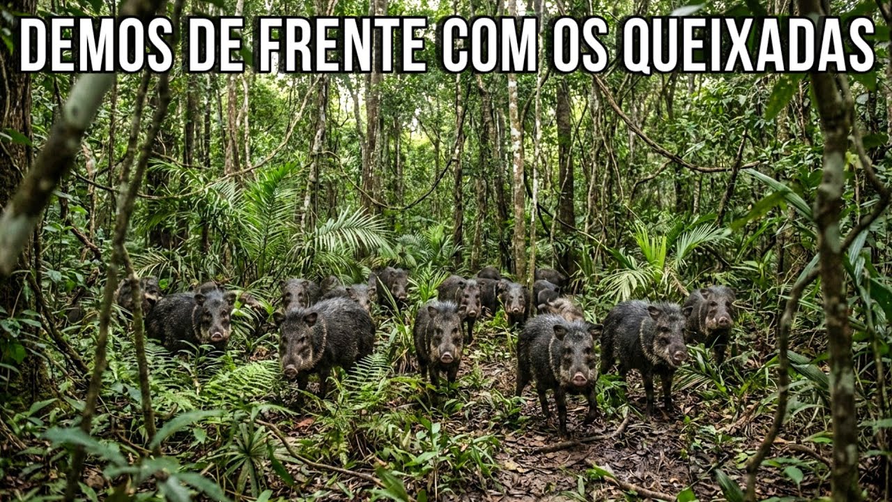 UM BANDO DE QUEIXADAS SURGIU NA NOSSA FRENTE — TIVEMOS QUE AGIR RÁPIDO