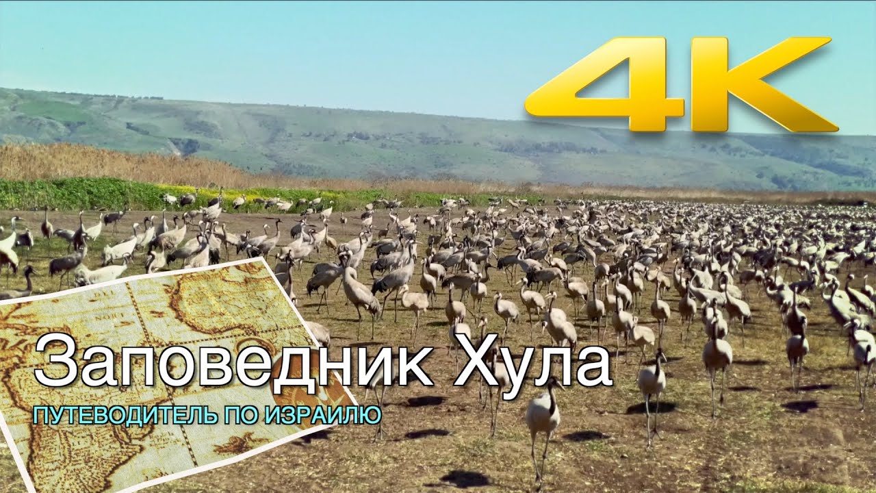 НАЦИОНАЛЬНЫЙ ПРИРОДНЫЙ ЗАПОВЕДНИК 